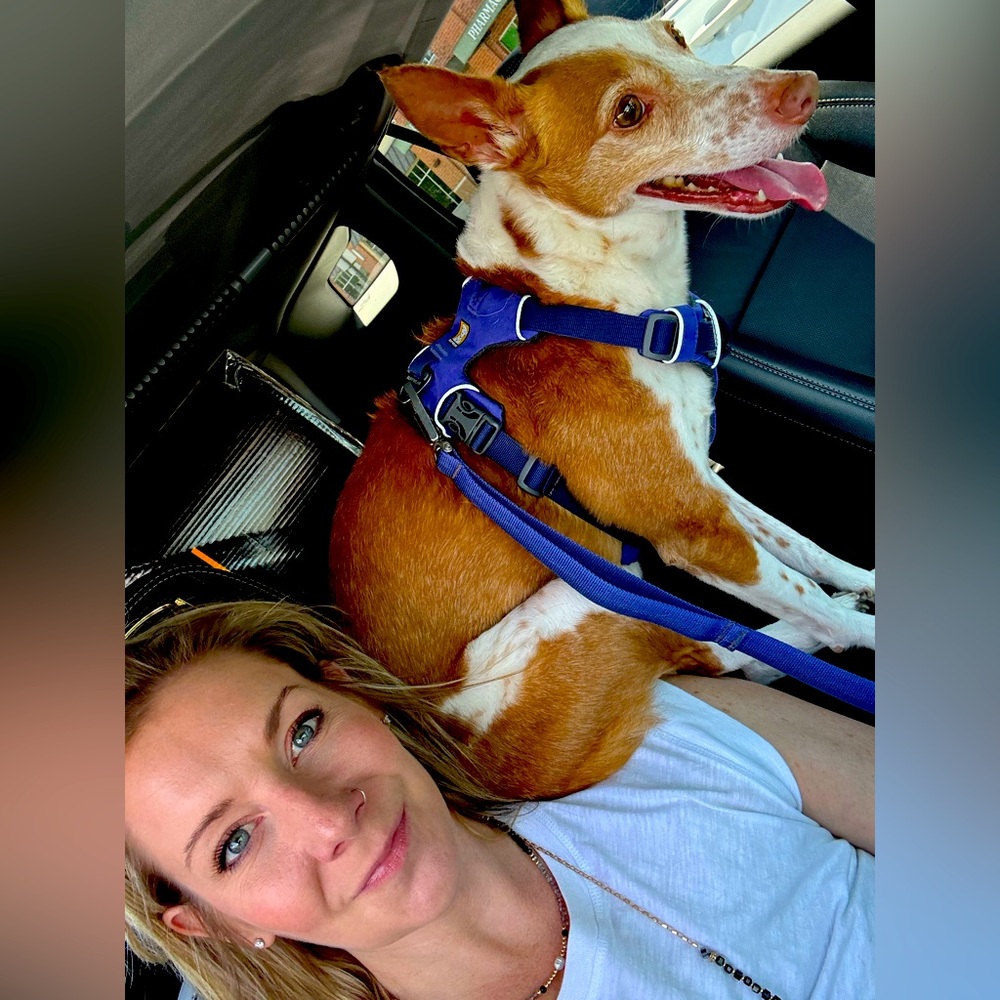 Meet your Posher, Erica